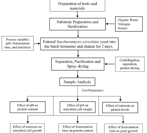 Flowchart Of Research Procedures And Scp Production Scheme Download