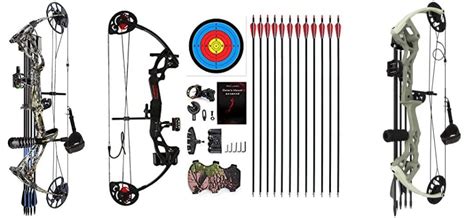 top  compound bows   archers  full guide