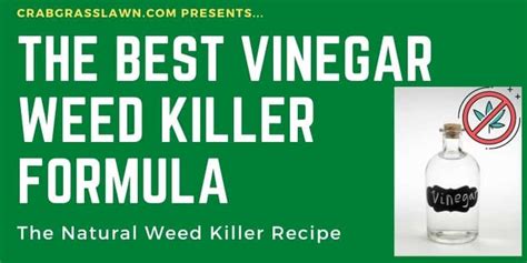 Vinegar Weed Killer: A Natural Solution - Hunter Games Magazine