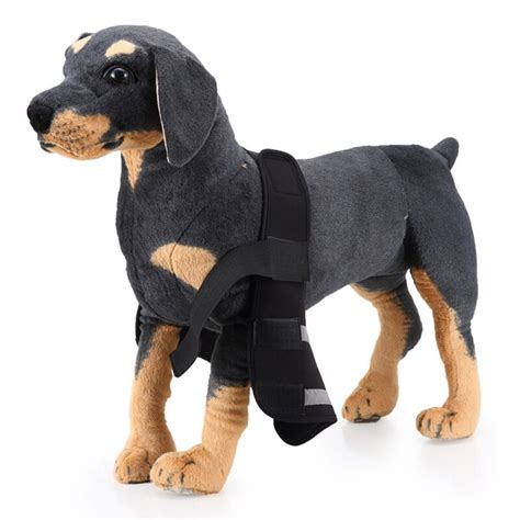 how to wrap a dog leg wound
