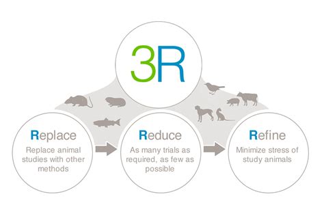 3rs