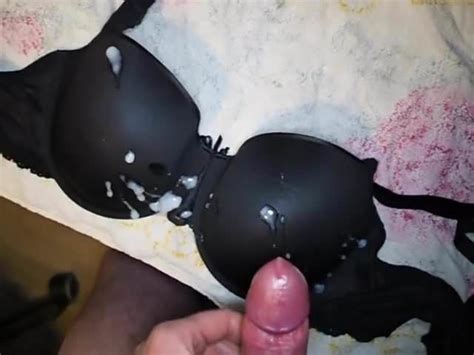 Cum On My Wife S Bra Cum Tribute Porn Video Cc Xhamster Xhamster