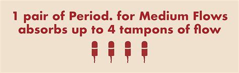 Brushed Microfiber Absorbent Bikini Underwear Organic Cotton Gusset By The Period Co At