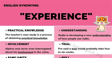 Another Word For Experience 20 Common Synonyms For Experience In