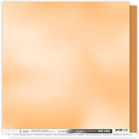 Papier X Back To Basics Orange F Nude Wild Les Ateliers De Karine
