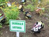 МАЛЕНЬКАЯ СТРАНА : ЗЕЛЕНАЯ АПТЕКА