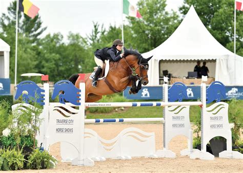 The Plaid Horse Questionnaire With Augusta Iwasaki The Plaid Horse