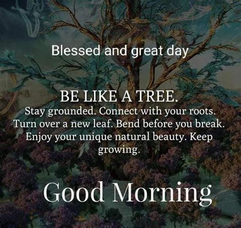Stay Grounded And Connected To Your Roots
