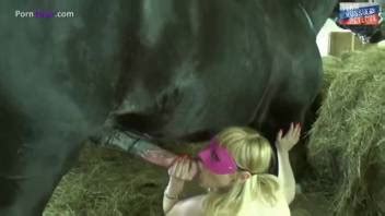 Big Breasted Blonde Takes A Stallion S Huge Cock