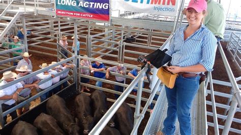Saleyards Enter Digital Age With Live Streaming Beef Central