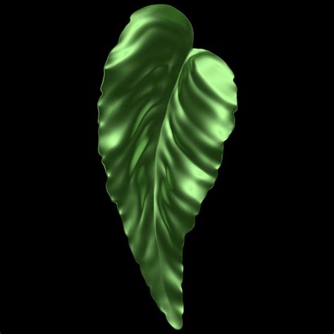 3d model leaf