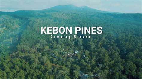 Kebon Pines Tempat Camping Keluarga Di Cikole Lembang Youtube