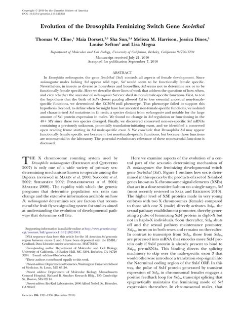 Pdf Evolution Of The Drosophila Feminizing Switch Gene Sex Lethal