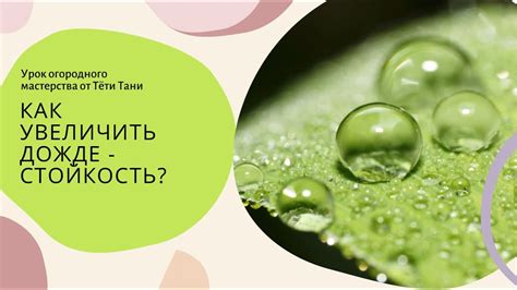 524. Биоприлипатель Униклей органик экономит и деньги, и время, и силы ...