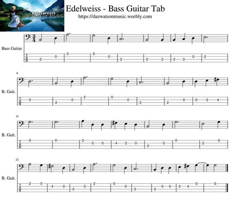 Bass Guitar Tabs For Beginners Bass Guitar Tabs Guitar Tabs For