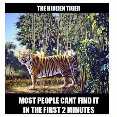 Can You See The Hidden Tiger? - Forum Games - Nigeria