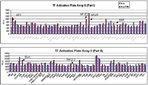 Lysosomal Stress TF Activation Profiling Plate Array | Signosis