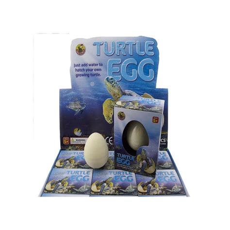 Nfo Growing Pet Turtle Egg Afterpay Available