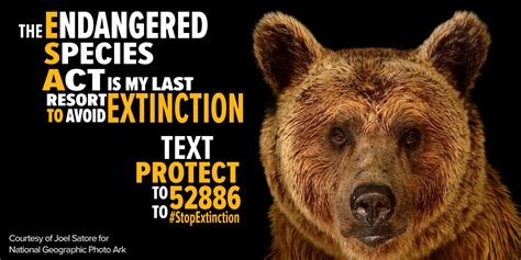 Why We Should Protect Endangered Animals Speech - Printable Templates Free