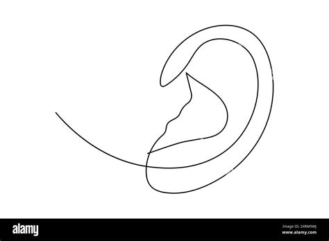 Human Ear Continuous One Line Drawing Of Isolated Outline Vector Icon Stock Vector Image And Art