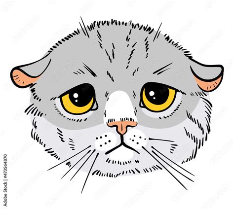 Cat portrait drawing. Sad cat. Cartoon characters. Funny vector illustration. Isolated on white ...