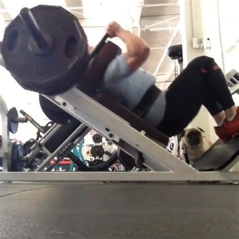 Musclebound Love Ii FBB Blonde Porn XHamster