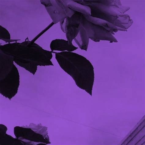 Big Ass Nerd On Tumblr