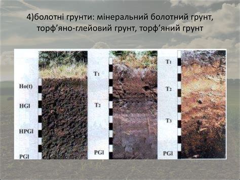 Ґрунти Кременчука - online presentation