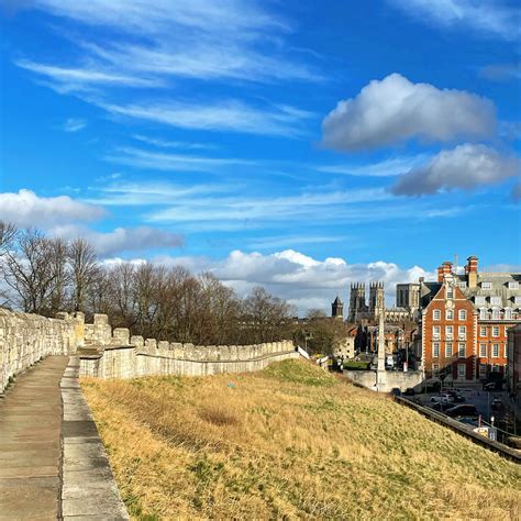 reasons  walk yorks city walls  kids  vikings york