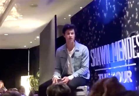 Shawn Mendes Tells Fan He Won T Help Her Come Out To Her Parents WATCH Towleroad Gay News