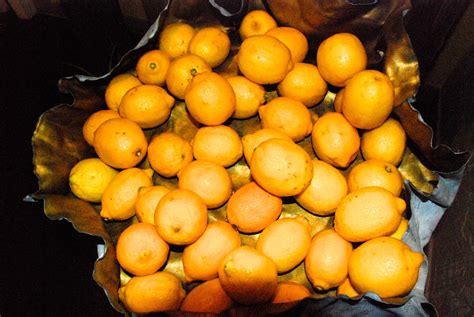 LEFAY SPA & RESORT REVIEW | Family Affairs & Other Matters