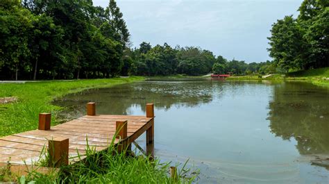 beautiful natural lanscape scenery, lake with wooden bridge, nature ...