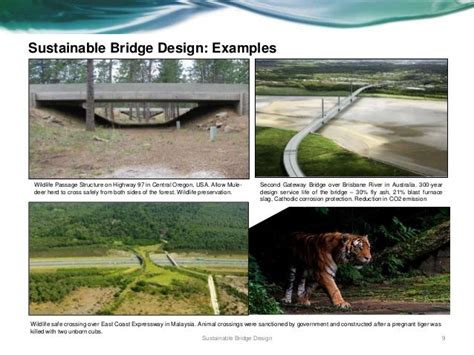 Sustainable Bridge Design