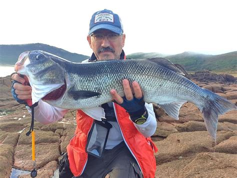 Fishing In Galicia The Land Of Rivers And Beaches Fishsurfing