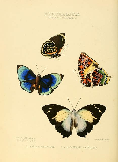 Difference Between Microevolution and Macroevolution | Compare the Difference Between Similar Terms