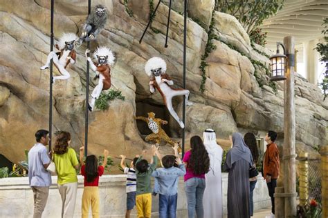 Abu Dhabi: SeaWorld Entry Ticket | GetYourGuide