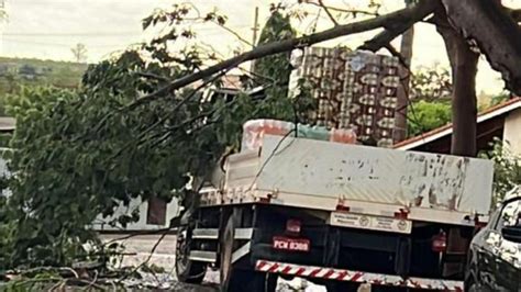 Chuva Acompanhada De Vendaval Causou Quedas De V Rias Rvores E