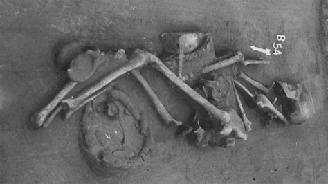 3,500-year-old graves reveal secrets that rewrite bronze age history ...