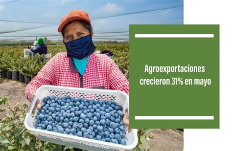 Agroexportaciones Crecieron En Mayo Tecfresh