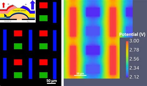electrical simulation  large area solar cells  oleds