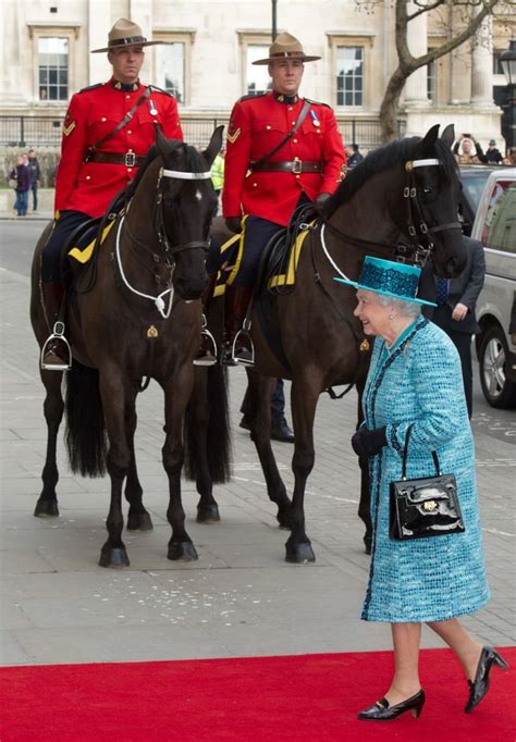 17 Best images about Royal Canadian Mounted Police on Pinterest ...