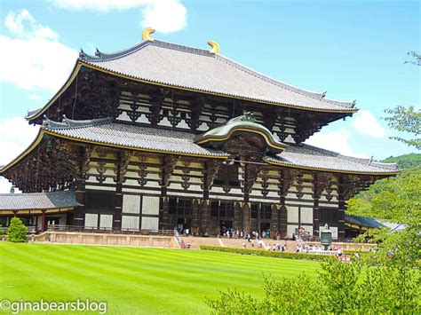 The Best Nara Itinerary - Gina Bear's Blog