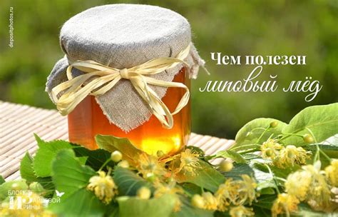 Липовый мед. Полезные свойства и противопоказания. Как выглядит