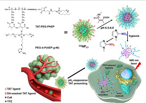 Figure From Application Of Tumor Ph Hypoxia Responsive Nanoparticles