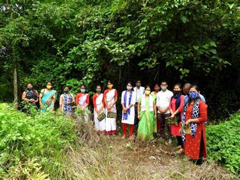 In Assam S Udalguri A Thriving Bio Diversity Park Now Needs Help