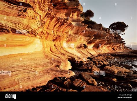 painted cliffs  maria island tasmania australia stock photo alamy
