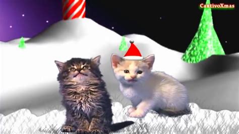 Merry Christmas Jingle Cats Silent Night Original Clip Youtube