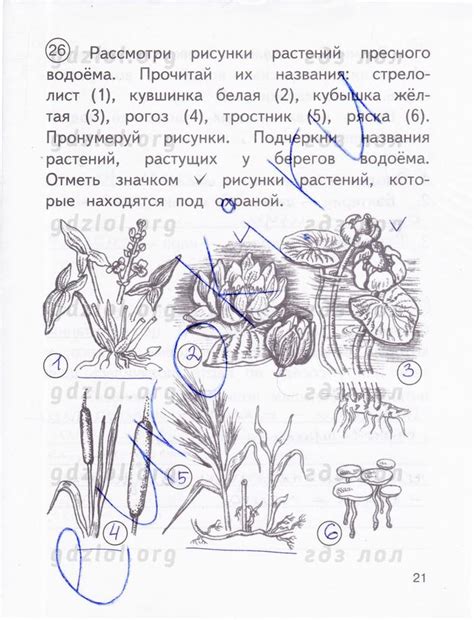 Окружающий мир 2 класс федотова трофимова 2 часть: ГДЗ по окружающему ...