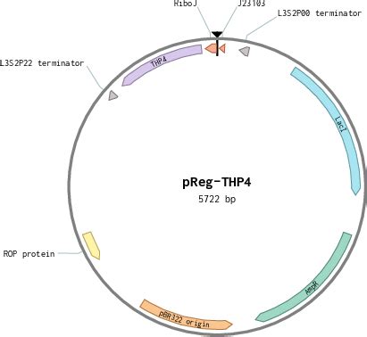 Addgene: pReg-THP4