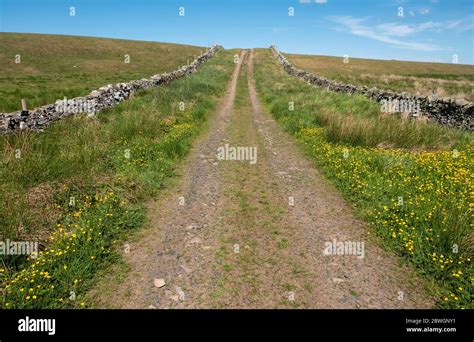 dere street  res stock photography  images alamy